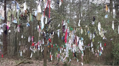 Kledingstuken aan de koortsboom