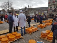 kaasmarkt klein