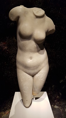 Aphrodite klein