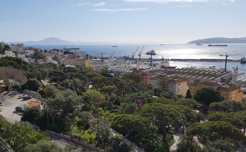 Apen op de&nbsp;rots