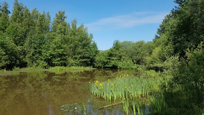 Kw1 klein