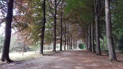 Kwinteloyen klein 1