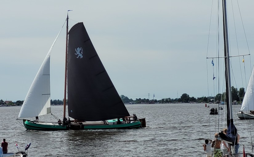 De leeuw is&nbsp;los